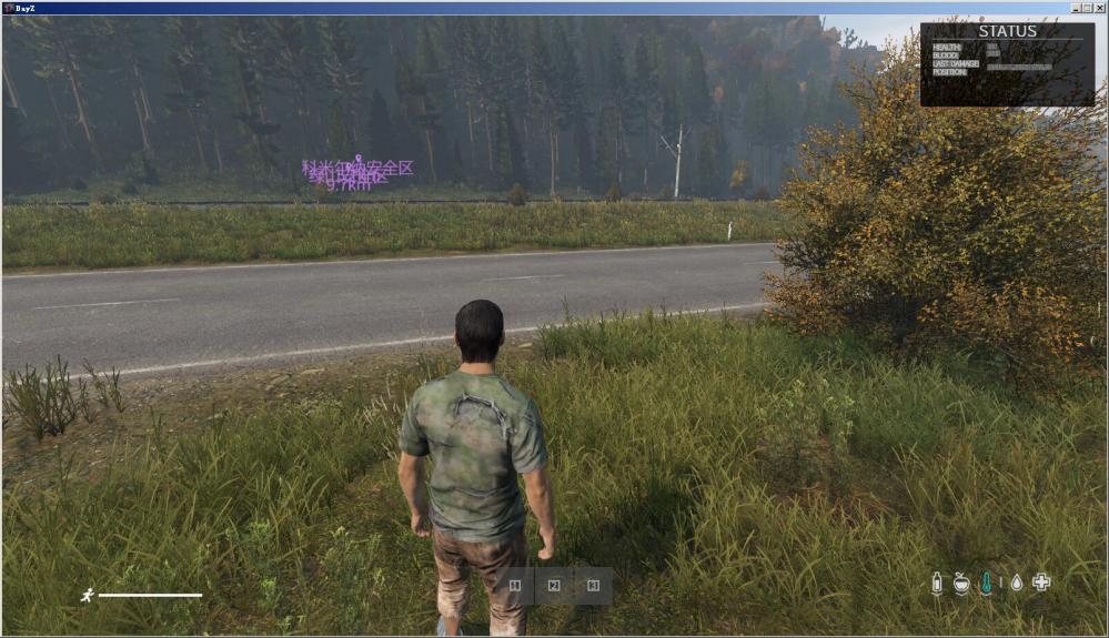 DayZ-1.10