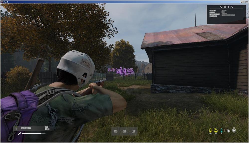 DayZ-1.10